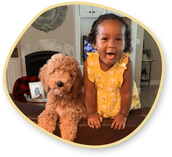 Goldendoodle Interest List