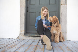 Goldendoodle Shelter