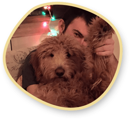 Teddy-Bear-Goldendoodle-Image with a boy