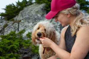 Goldendoodle Teething